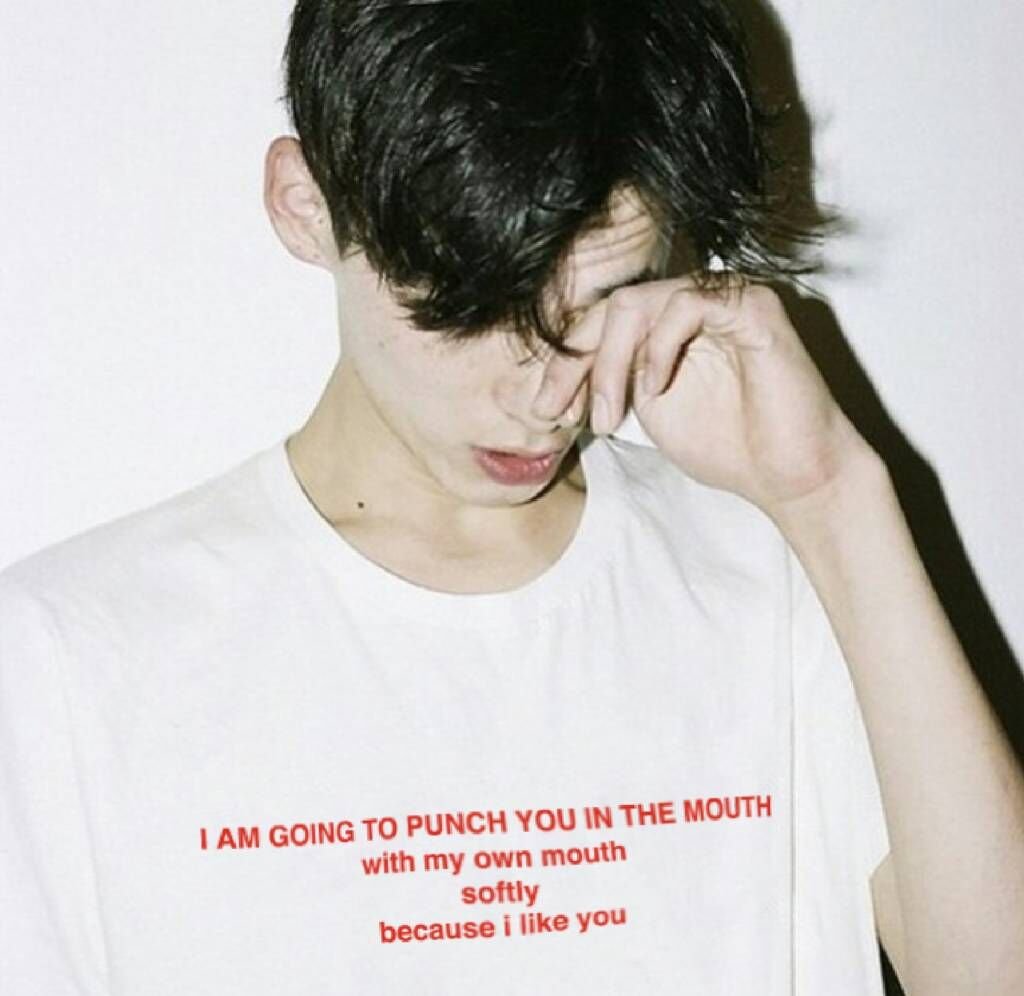 I am Going to Punch You in the Mouth T-shirt